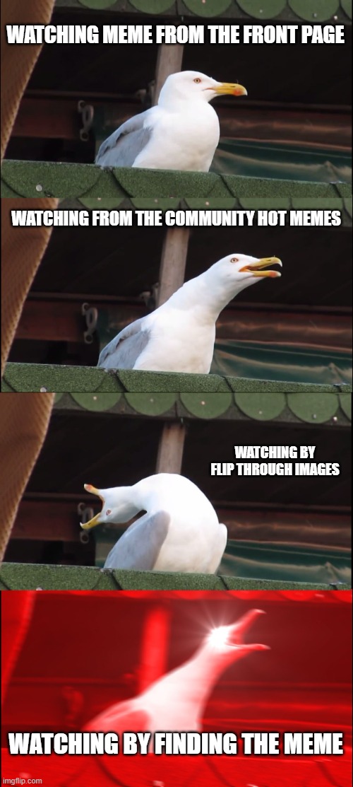 did i do a good work? yes and are you guys gonna like it? maybe yes | WATCHING MEME FROM THE FRONT PAGE; WATCHING FROM THE COMMUNITY HOT MEMES; WATCHING BY FLIP THROUGH IMAGES; WATCHING BY FINDING THE MEME | image tagged in memes,inhaling seagull | made w/ Imgflip meme maker