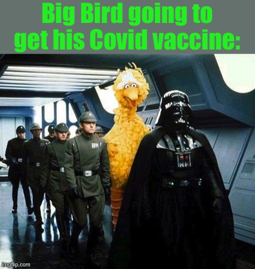 vader big bird | Big Bird going to get his Covid vaccine: | image tagged in vader big bird | made w/ Imgflip meme maker