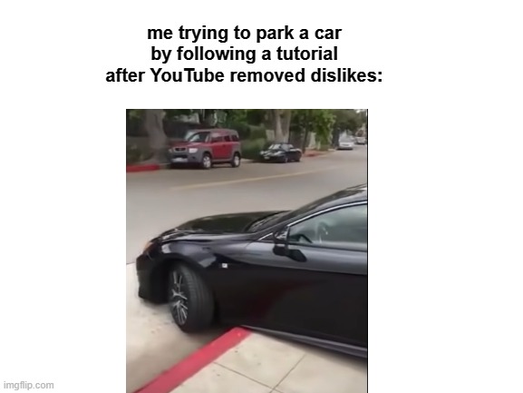 true | me trying to park a car by following a tutorial after YouTube removed dislikes: | image tagged in blank white template | made w/ Imgflip meme maker