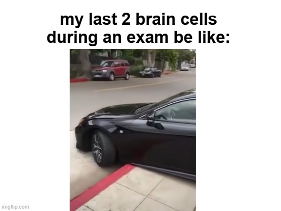 Very true | my last 2 brain cells during an exam be like: | image tagged in blank white template | made w/ Imgflip meme maker