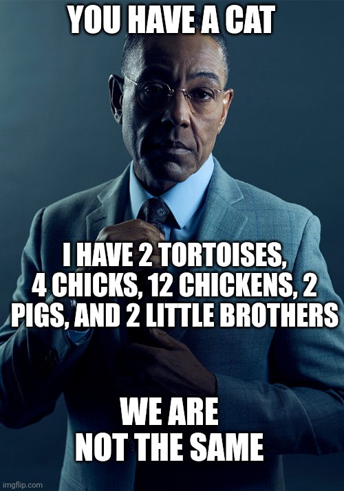 Gus Fring we are not the same | YOU HAVE A CAT I HAVE 2 TORTOISES, 4 CHICKS, 12 CHICKENS, 2 PIGS, AND 2 LITTLE BROTHERS WE ARE NOT THE SAME | image tagged in gus fring we are not the same | made w/ Imgflip meme maker