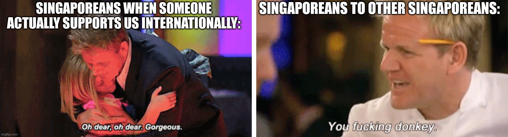 oh dear oh dear gorgeous and you f****** donkey | SINGAPOREANS TO OTHER SINGAPOREANS:; SINGAPOREANS WHEN SOMEONE ACTUALLY SUPPORTS US INTERNATIONALLY: | image tagged in oh dear oh dear gorgeous and you f donkey | made w/ Imgflip meme maker