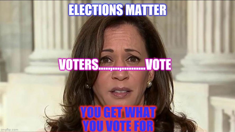 This woman will be president in less than a year | ELECTIONS MATTER; VOTERS.....,...,..........VOTE; YOU GET WHAT YOU VOTE FOR | image tagged in kamala harris,not my president,suckers,flat earth dome,swallow,hillary clinton | made w/ Imgflip meme maker