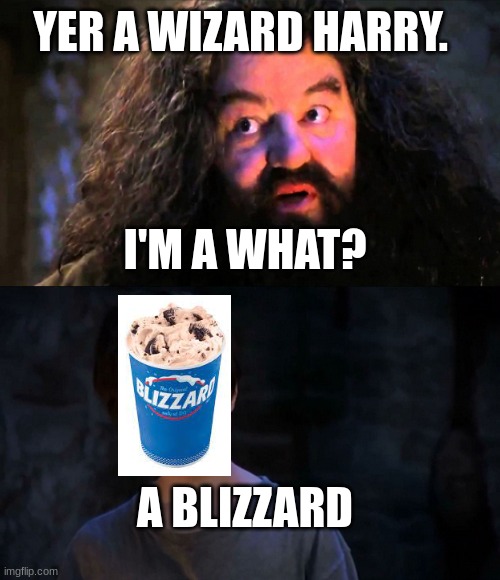 You are wizzard harry | YER A WIZARD HARRY. I'M A WHAT? A BLIZZARD | image tagged in you are wizzard harry | made w/ Imgflip meme maker