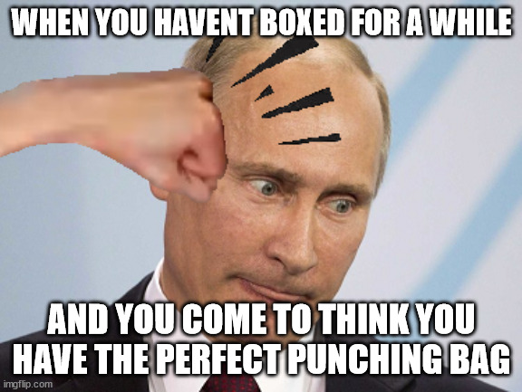 Punching Putin | WHEN YOU HAVENT BOXED FOR A WHILE; AND YOU COME TO THINK YOU HAVE THE PERFECT PUNCHING BAG | image tagged in vladimir putin,putin,russia,punch,smack,ukraine | made w/ Imgflip meme maker