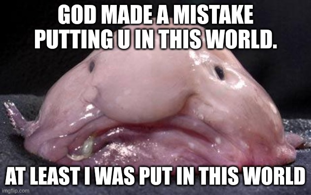 Blobfish | GOD MADE A MISTAKE PUTTING U IN THIS WORLD. AT LEAST I WAS PUT IN THIS WORLD | image tagged in blobfish | made w/ Imgflip meme maker