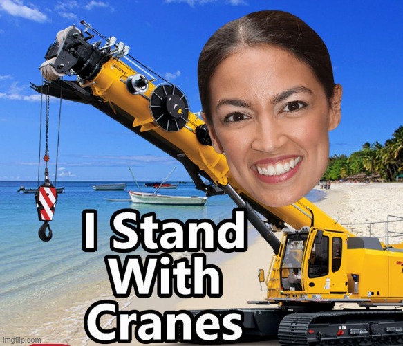 Standing with Ucrane Two !! | image tagged in ukraine,aoc,cranes | made w/ Imgflip meme maker