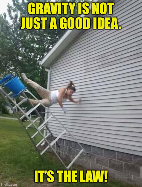 Gravity | GRAVITY IS NOT JUST A GOOD IDEA. IT’S THE LAW! | image tagged in woman ladder accident | made w/ Imgflip meme maker
