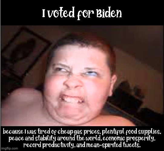 Liberal Reasoning | image tagged in stupid liberals | made w/ Imgflip meme maker