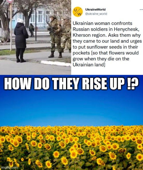 How do they rise up!? | HOW DO THEY RISE UP !? | image tagged in ukraine,ukrainian lives matter,sunflower | made w/ Imgflip meme maker
