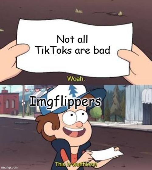 Not all of TikTok is cringe (even though most of it is) | Not all TikToks are bad; Imgflippers | image tagged in wow this is useless | made w/ Imgflip meme maker