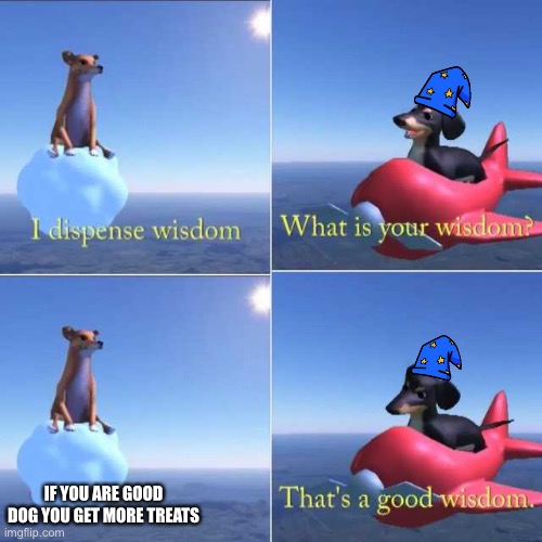 Wisdom Dog | IF YOU ARE GOOD DOG YOU GET MORE TREATS | image tagged in wisdom dog | made w/ Imgflip meme maker