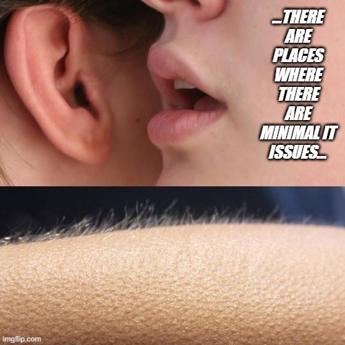 it issues | ...THERE ARE PLACES WHERE THERE ARE MINIMAL IT ISSUES... | image tagged in whisper and goosebumps | made w/ Imgflip meme maker