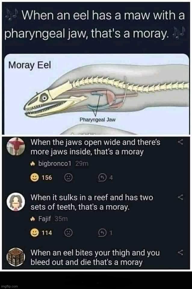 image tagged in dark humor | made w/ Imgflip meme maker
