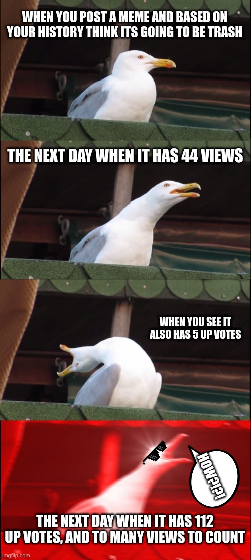 part 2 | WHEN YOU POST A MEME AND BASED ON YOUR HISTORY THINK ITS GOING TO BE TRASH; THE NEXT DAY WHEN IT HAS 44 VIEWS; WHEN YOU SEE IT ALSO HAS 5 UP VOTES; HOW?!?! THE NEXT DAY WHEN IT HAS 112 UP VOTES, AND TO MANY VIEWS TO COUNT | image tagged in memes,inhaling seagull | made w/ Imgflip meme maker