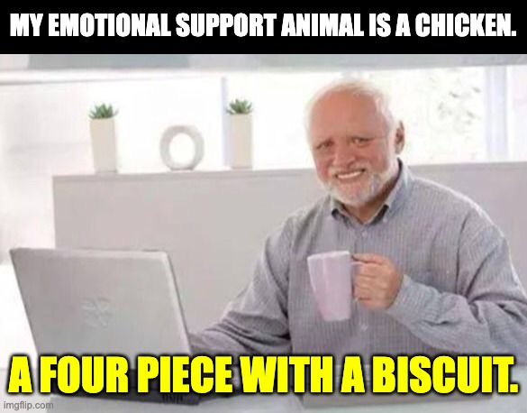 Bucket | MY EMOTIONAL SUPPORT ANIMAL IS A CHICKEN. A FOUR PIECE WITH A BISCUIT. | image tagged in harold | made w/ Imgflip meme maker