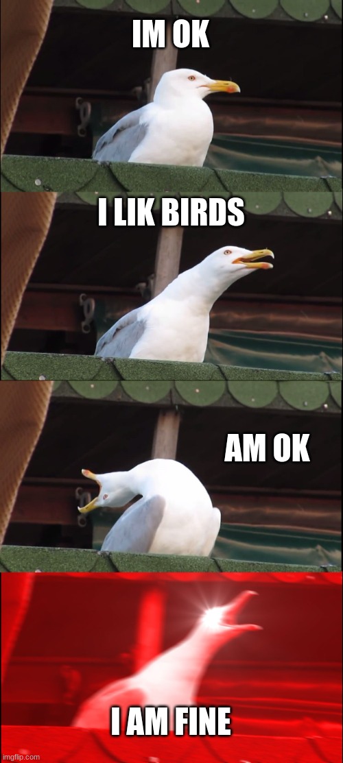 Inhaling Seagull | IM OK; I LIK BIRDS; AM OK; I AM FINE | image tagged in memes,inhaling seagull | made w/ Imgflip meme maker