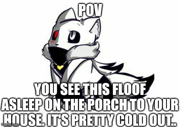 WDYD? (No OP OC's) |  POV; YOU SEE THIS FLOOF ASLEEP ON THE PORCH TO YOUR HOUSE. IT'S PRETTY COLD OUT.. | made w/ Imgflip meme maker