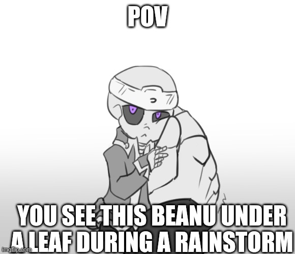 WDYD? (No OP OC's) | POV; YOU SEE THIS BEANU UNDER A LEAF DURING A RAINSTORM | made w/ Imgflip meme maker