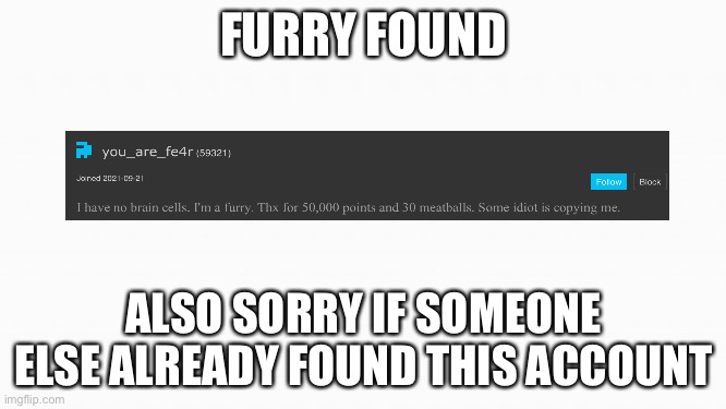 white box | FURRY FOUND; ALSO SORRY IF SOMEONE ELSE ALREADY FOUND THIS ACCOUNT | image tagged in white box | made w/ Imgflip meme maker