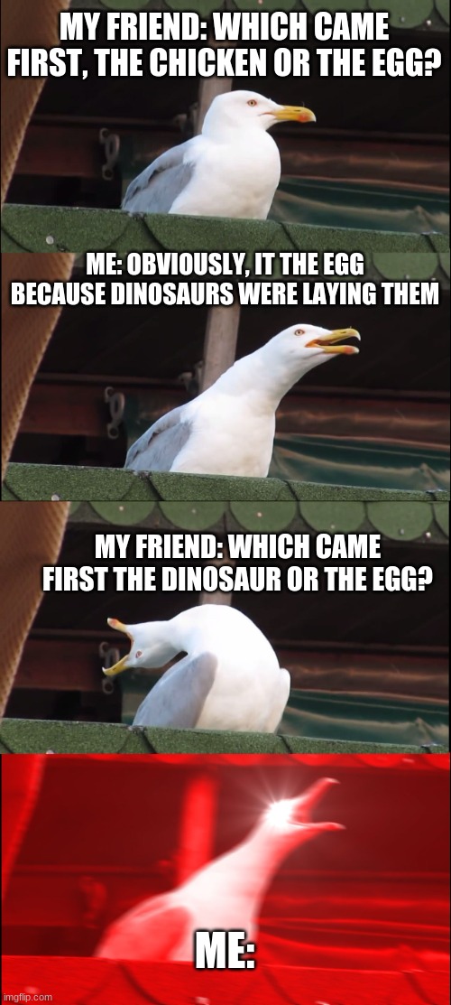 Hmmmm | MY FRIEND: WHICH CAME FIRST, THE CHICKEN OR THE EGG? ME: OBVIOUSLY, IT THE EGG BECAUSE DINOSAURS WERE LAYING THEM; MY FRIEND: WHICH CAME FIRST THE DINOSAUR OR THE EGG? ME: | image tagged in memes,inhaling seagull | made w/ Imgflip meme maker