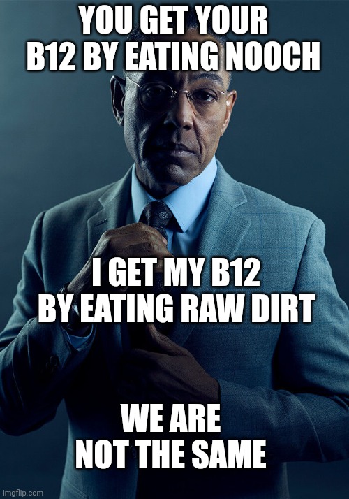 Gus Fring we are not the same | YOU GET YOUR B12 BY EATING NOOCH; I GET MY B12 BY EATING RAW DIRT; WE ARE NOT THE SAME | image tagged in gus fring we are not the same,vegancirclejerk | made w/ Imgflip meme maker