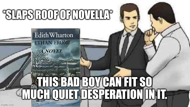 Slaps Roof of Ethan Frome | *SLAPS ROOF OF NOVELLA*; THIS BAD BOY CAN FIT SO MUCH QUIET DESPERATION IN IT. | image tagged in memes,car salesman slaps roof of car,literature,edith wharton,ethan frome,novel | made w/ Imgflip meme maker