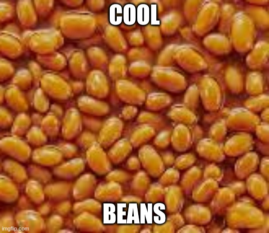 New Meme | COOL; BEANS | image tagged in cool beans | made w/ Imgflip meme maker