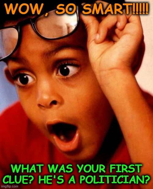 Wow | WOW, SO SMART!!!!! WHAT WAS YOUR FIRST CLUE? HE'S A POLITICIAN? | image tagged in wow | made w/ Imgflip meme maker