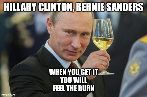 Putin Cheers | HILLARY CLINTON, BERNIE SANDERS WHEN YOU GET IT
YOU WILL
FEEL THE BURN | image tagged in putin cheers | made w/ Imgflip meme maker