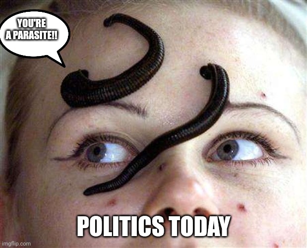 YOU'RE A PARASITE!! POLITICS TODAY | image tagged in leeches | made w/ Imgflip meme maker