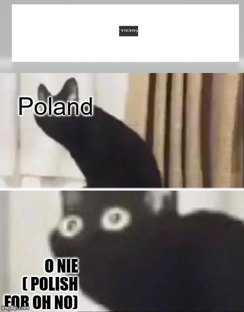 oh god no | Poland; O NIE ( POLISH FOR OH NO) | image tagged in oh no black cat | made w/ Imgflip meme maker