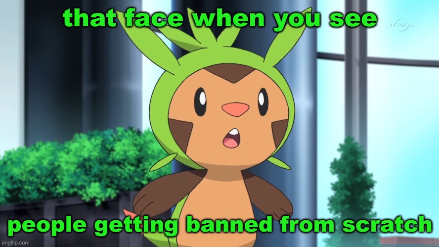 Just a chespin meme i made | that face when you see; people getting banned from scratch | image tagged in chespin's surprise face,pokemon,memes,funny memes,new template,scratch | made w/ Imgflip meme maker