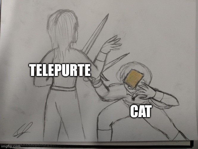 Telepurte | TELEPURTE; CAT | image tagged in get cheesed | made w/ Imgflip meme maker