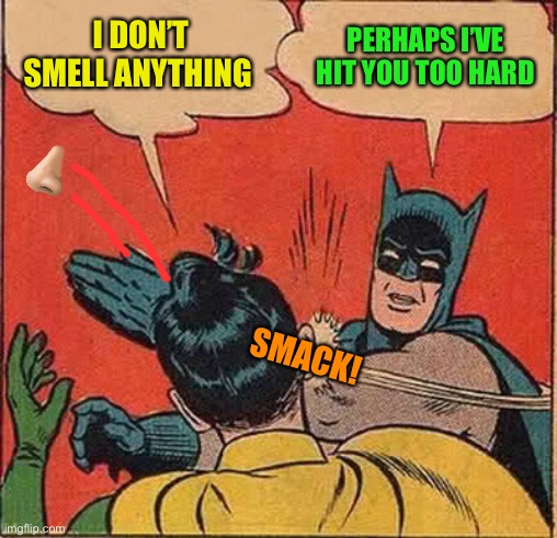 Batman Slapping Robin Meme | I DON’T SMELL ANYTHING PERHAPS I’VE HIT YOU TOO HARD SMACK! | image tagged in memes,batman slapping robin | made w/ Imgflip meme maker