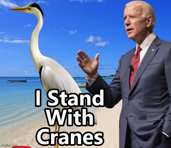 Joe Standing Tall on the Ucrane Beaches | image tagged in ukraine,biden,beaches | made w/ Imgflip meme maker