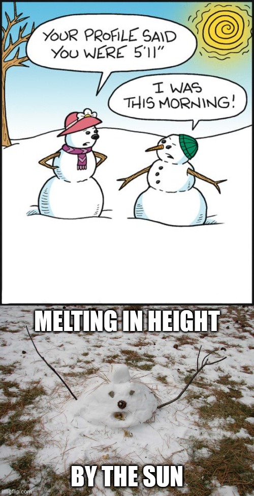 Comics melted snowman Memes & GIFs - Imgflip