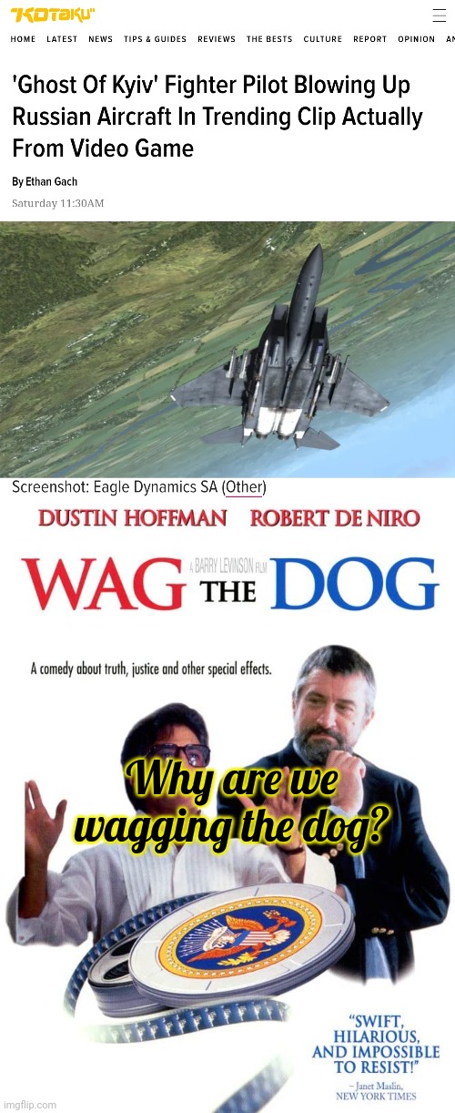 Why are we doing this? | Why are we wagging the dog? | image tagged in wtf,are we doing,here,ww3,is only fun til,you die | made w/ Imgflip meme maker