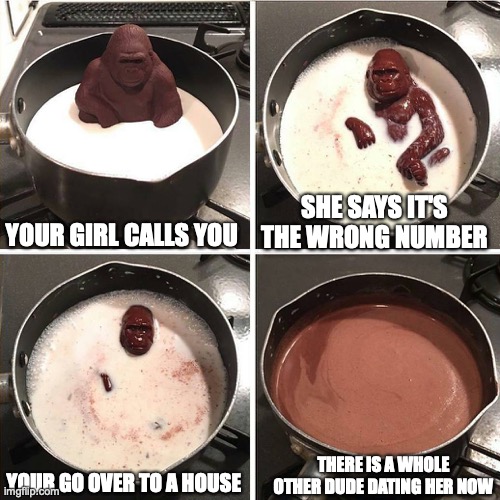 chocolate gorilla | YOUR GIRL CALLS YOU; SHE SAYS IT'S THE WRONG NUMBER; THERE IS A WHOLE OTHER DUDE DATING HER NOW; YOUR GO OVER TO A HOUSE | image tagged in chocolate gorilla | made w/ Imgflip meme maker