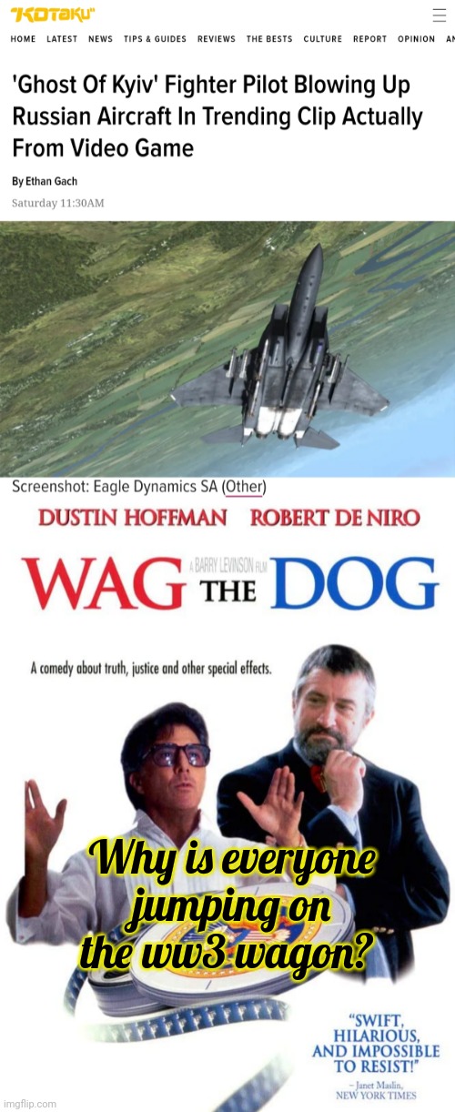What the hell are we doing? | Why is everyone jumping on the ww3 wagon? | image tagged in ukraine,ww3,wag the dog | made w/ Imgflip meme maker