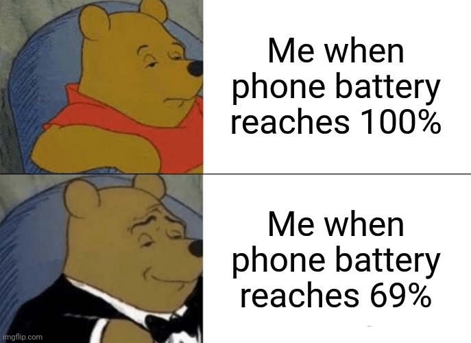 Tuxedo Winnie The Pooh Meme | Me when phone battery reaches 100%; Me when phone battery reaches 69% | image tagged in memes,tuxedo winnie the pooh | made w/ Imgflip meme maker