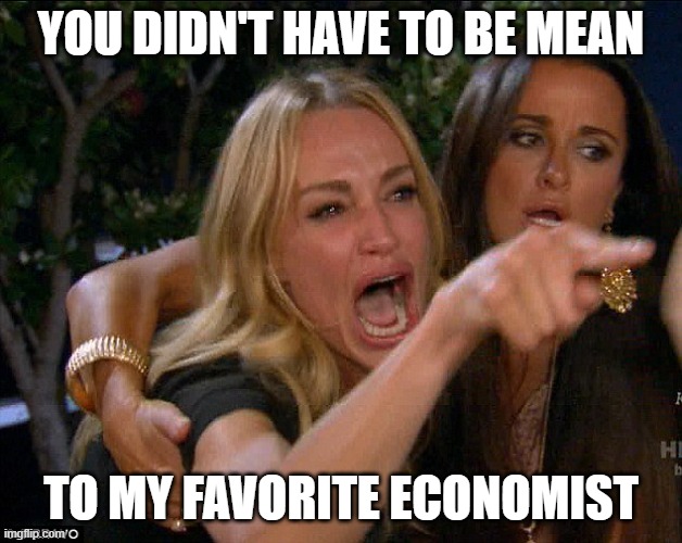 Larry Summers dirt bag | YOU DIDN'T HAVE TO BE MEAN; TO MY FAVORITE ECONOMIST | image tagged in real housewives crying | made w/ Imgflip meme maker