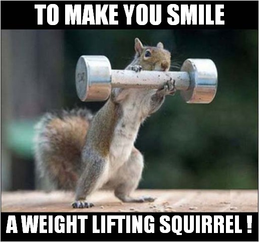 Have A Nice Day ! | TO MAKE YOU SMILE; A WEIGHT LIFTING SQUIRREL ! | image tagged in have a nice day,weight lifting,squirrel | made w/ Imgflip meme maker