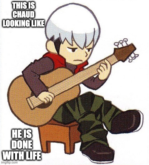Chaud With Guitar | THIS IS CHAUD LOOKING LIKE; HE IS DONE WITH LIFE | image tagged in megaman,megaman battle network,memes | made w/ Imgflip meme maker