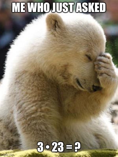 Facepalm Bear Meme | ME WHO JUST ASKED 3 • 23 = ? | image tagged in memes,facepalm bear | made w/ Imgflip meme maker