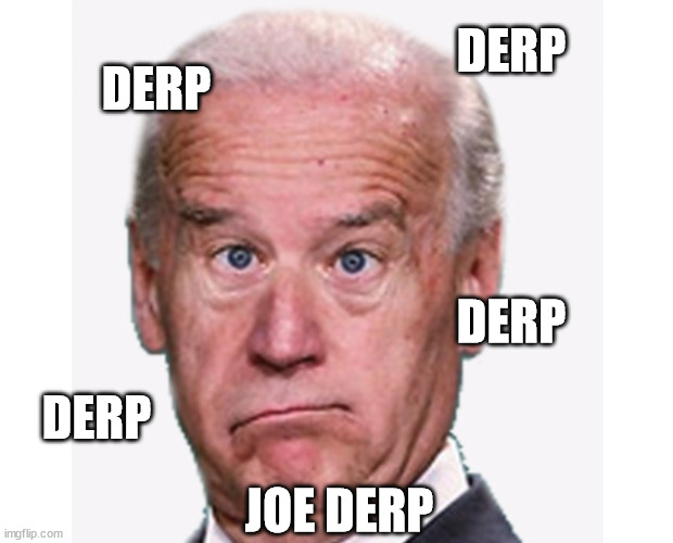 Joe Derp - Not the President we Need, he's the President we Deserve. | DERP; DERP; DERP; DERP; JOE DERP | image tagged in biden,derp | made w/ Imgflip meme maker