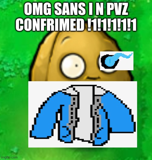 Wall-Nut | OMG SANS I N PVZ CONFRIMED !1!1!1!1!1 | image tagged in wall-nut | made w/ Imgflip meme maker