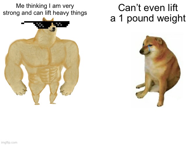 Buff Doge vs. Cheems | Me thinking I am very strong and can lift heavy things; Can’t even lift a 1 pound weight | image tagged in memes,buff doge vs cheems | made w/ Imgflip meme maker