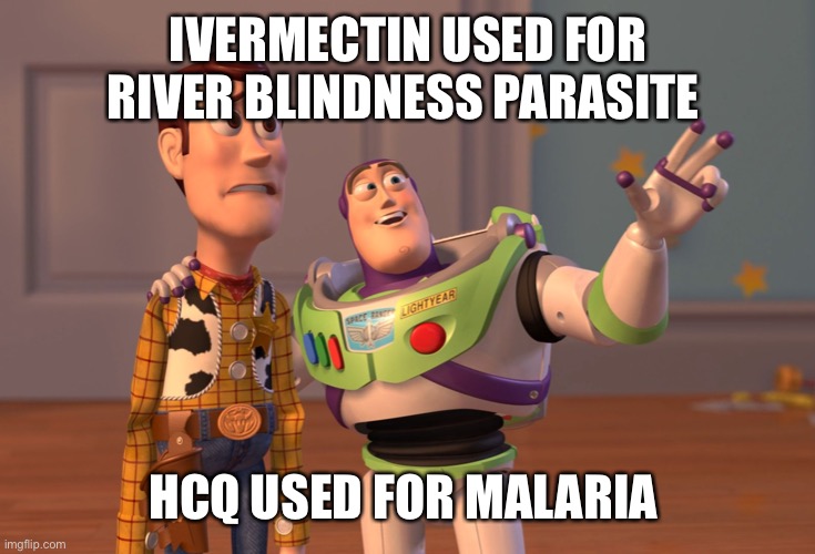 X, X Everywhere Meme | IVERMECTIN USED FOR RIVER BLINDNESS PARASITE HCQ USED FOR MALARIA | image tagged in memes,x x everywhere | made w/ Imgflip meme maker