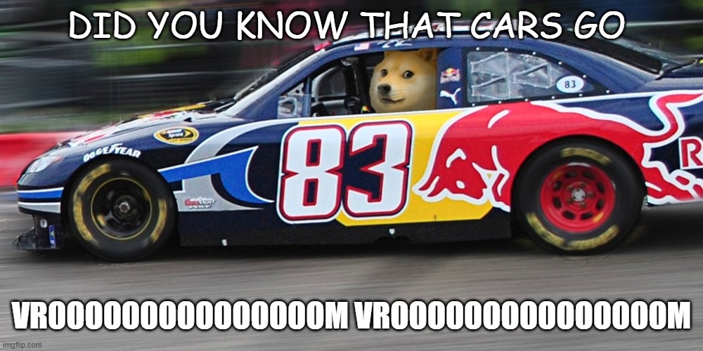 vroom vroom | DID YOU KNOW THAT CARS GO; VROOOOOOOOOOOOOOOM VROOOOOOOOOOOOOOOM | image tagged in race car doge | made w/ Imgflip meme maker